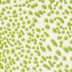 CR41 LIME CRAWL