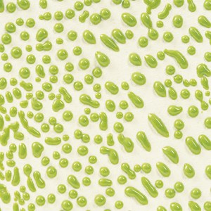 CR41 LIME CRAWL