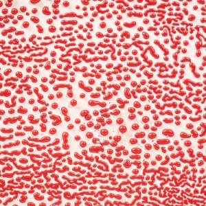 CR58 RED CRAWL