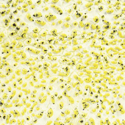 CR61 YELLOW CRAWL