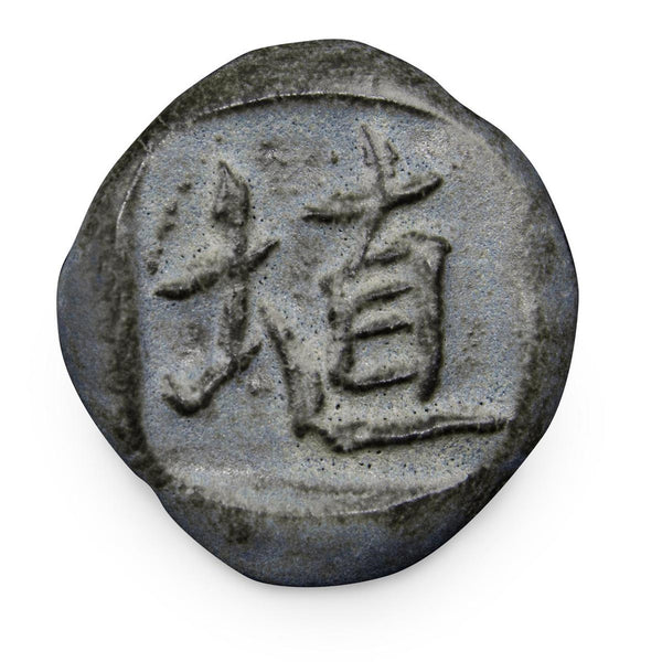 SH22 ACAI MATTE SHINO