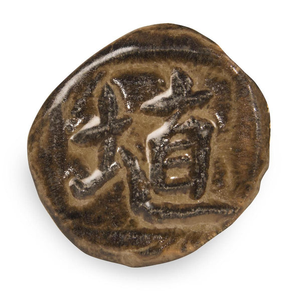 SH31 CACAO GLOSS SHINO