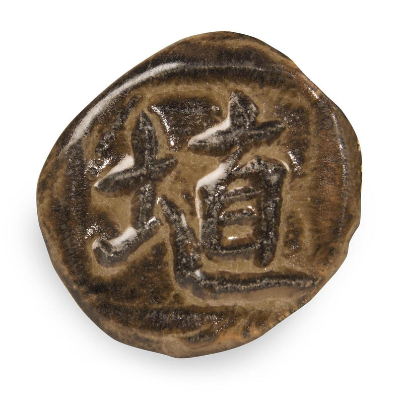 SH31 CACAO GLOSS SHINO