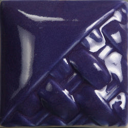 MSW505 PURPLE GLOSS