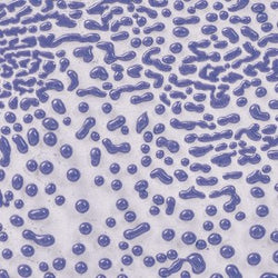 CR54 PURPLE CRAWL