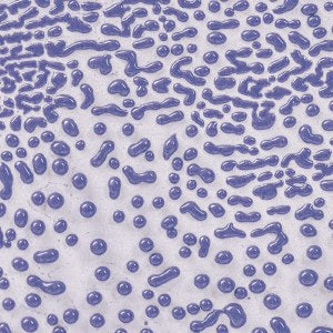 CR54 PURPLE CRAWL