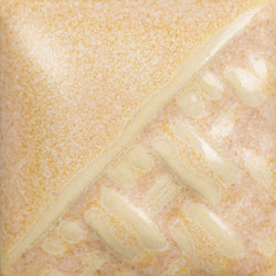 SW196 SAND DOLLAR