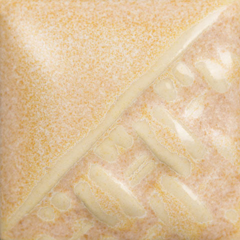 SW196 SAND DOLLAR