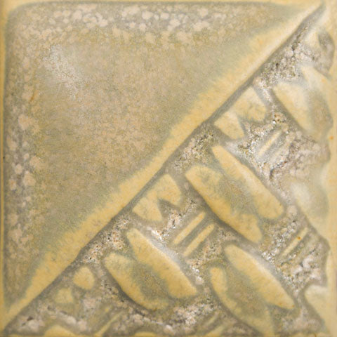 SW197 FOSSIL ROCK
